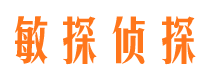 沈河市侦探公司